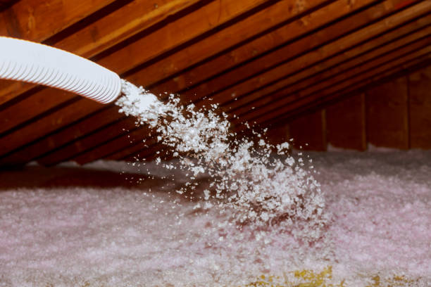 Best Geographic-Specific Insulation Services in Havre, MT