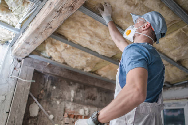 Best Residential Insulation in Havre, MT
